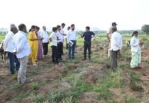 पीकपंचनामे वेळेत पूर्ण करा; अफवांवर विश्वास ठेवू नका